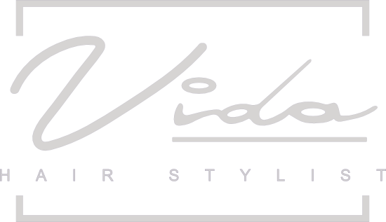 vida just logo 3